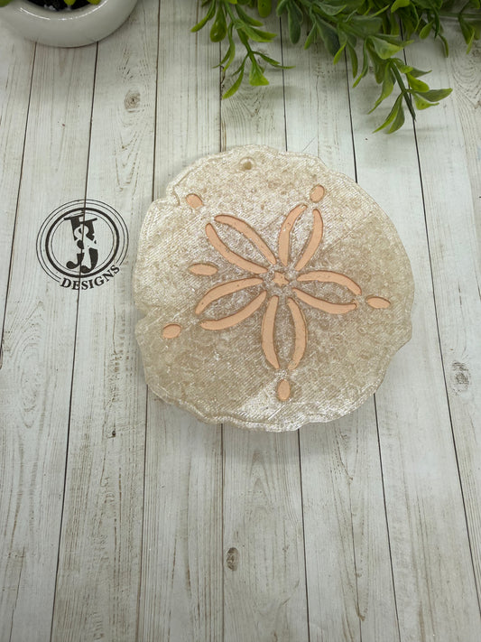 Sand dollar