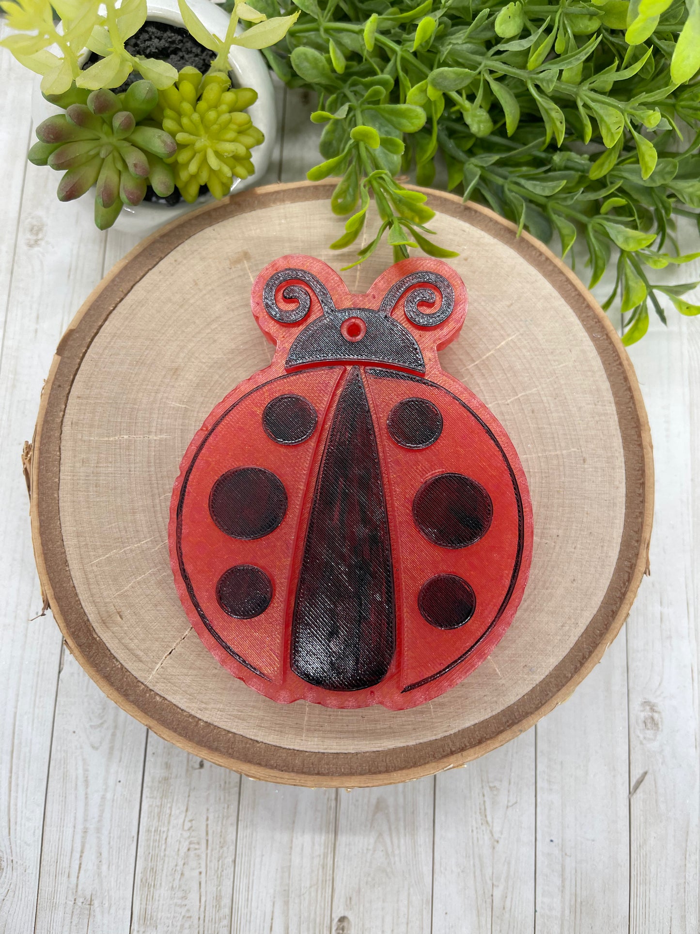Lady bug