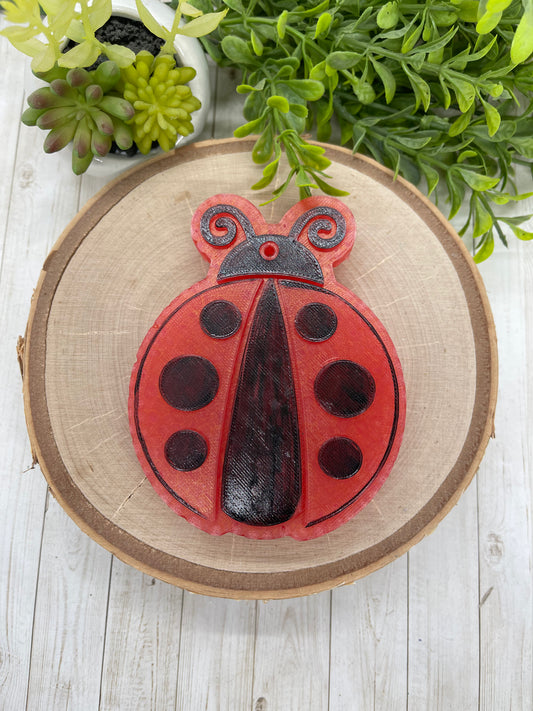 Lady bug